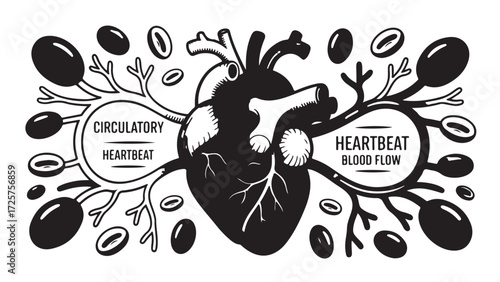 Stylized illustration of a human heart with circulatory system heartbeat and blood flow representing