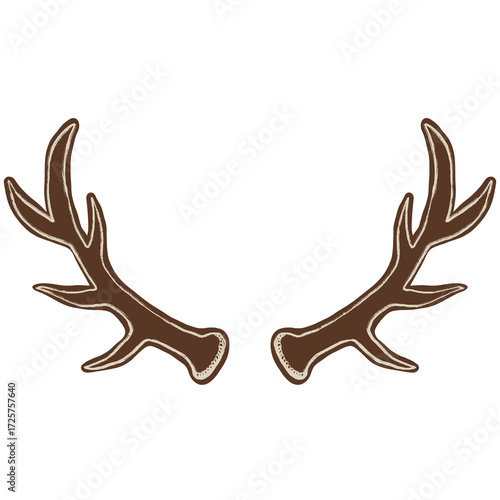 deer antlers