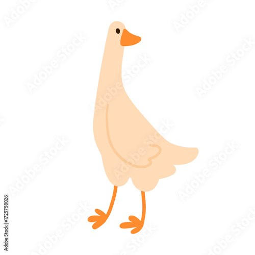 Flat simple standing goose with long neck and webbed feet, isolated on white. Suitable for kids content, farm themes, and animal projects