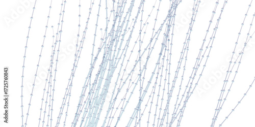Delicate Silver-White Willow Branches Detailed Texture Natural Elegance.