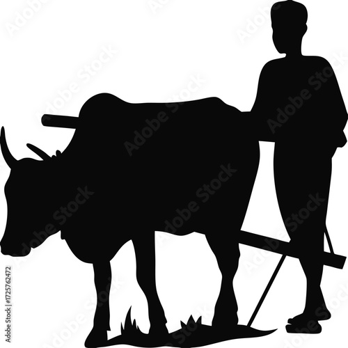 Silhouette of ox pulling plough isolated on white vector, Traditional farming with oxen illustration, Black rural agriculture scene design, Heritage farmer using plough with ox silhouette artwork