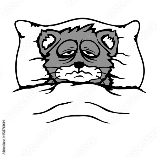 Cat Pet Exhausted Tired Bed Duvet Pillow Sleepless