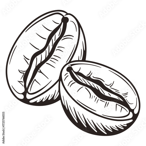 A detailed black and white illustration of two coffee beans, one slightly overlapping the other, showcasing their characteristic split.