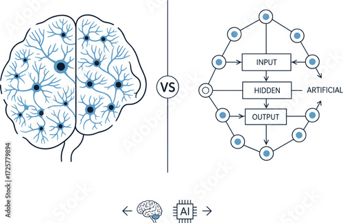 Brain vs neural network, human brain comparison, artificial intelligence, neural connections, machine learning, cognitive system infographic