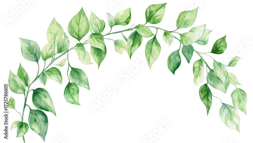 A delicate watercolor illustration of lush green leaves gracefully arching across a white background. perfect for nature-themed designs. invitations. or eco-friendly projects
