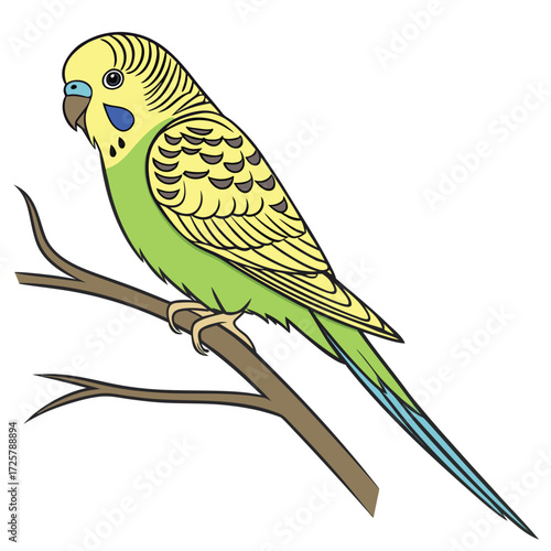 Yellow and green budgie bird perched on a brown branch on white background parakeet avian