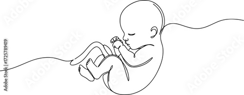 Baby embryo in womb, fetus one art line continuous drawing, Continuous line of fetus in womb.one line drawing of baby fetus in mother's stomach in gestational age. 