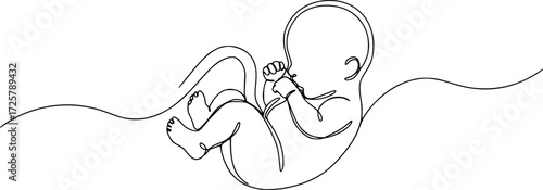 Baby embryo in womb, fetus one art line continuous drawing, Continuous line of fetus in womb.one line drawing of baby fetus in mother's stomach in gestational age. 