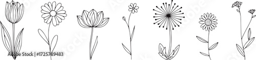 Minimalist line drawing of various blooming flowers black and white floral