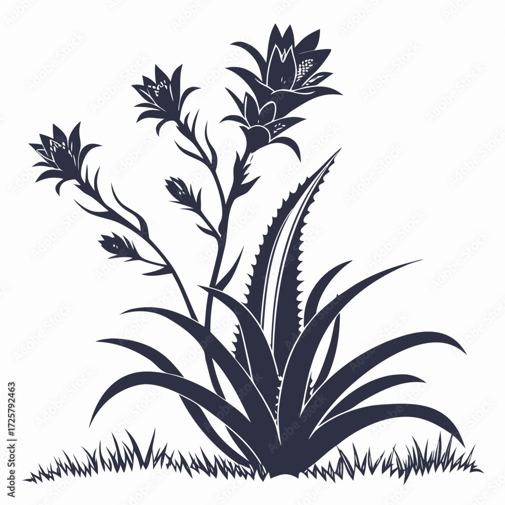 Obraz premium globe thistles white