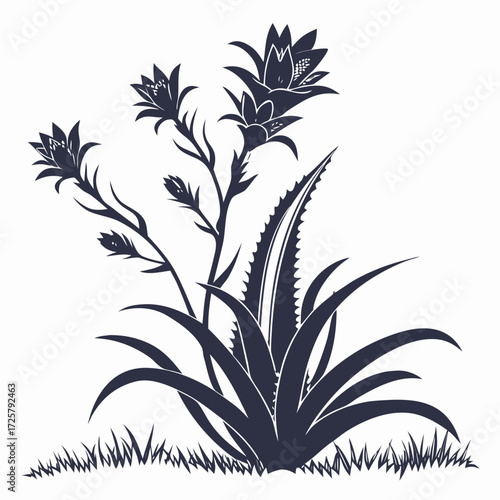 Obraz na plátně globe thistles white