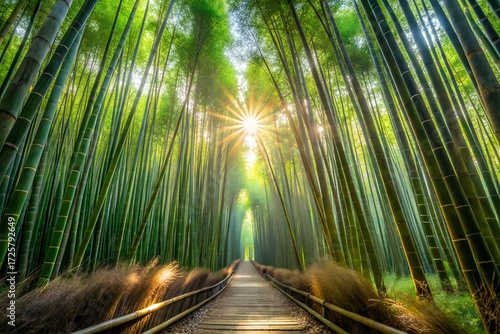 A tranquil road winds through a vibrant bamboo forest, where the tropical leaves and trees are illuminated by the morning sun, creating a serene landscape