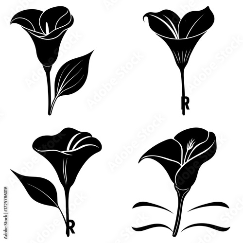 Four calla lily flowers in black and white with varying stem and leaf arrangements and letter r marks