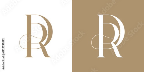 DR Logo Vector Illustration , Initial Logo for Brand Company