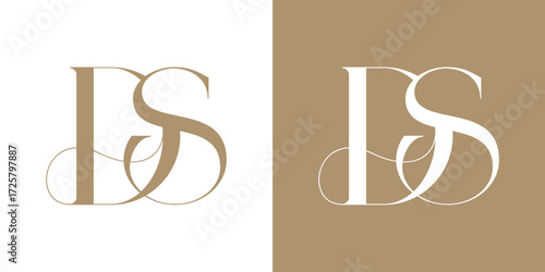 DS Logo Vector Illustration , Initial Logo for Brand Company