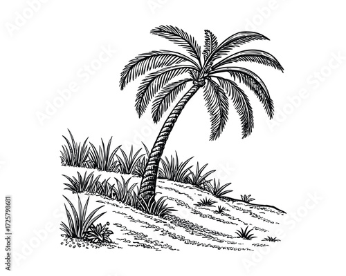Vintage-style, black and white line drawing of a palm tree on a sandy desert landscape with sparse grass