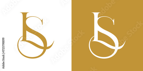 LS Letter Abstract Logo Vector Illustration