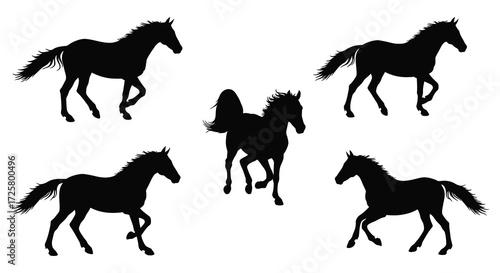 A collection of equine figures in various poses a striking silhouette