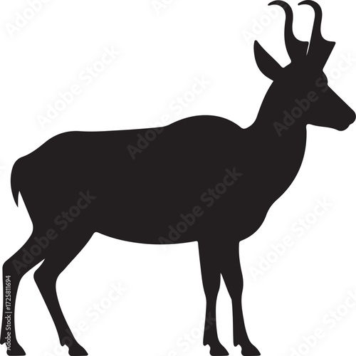 silhouette of deer
