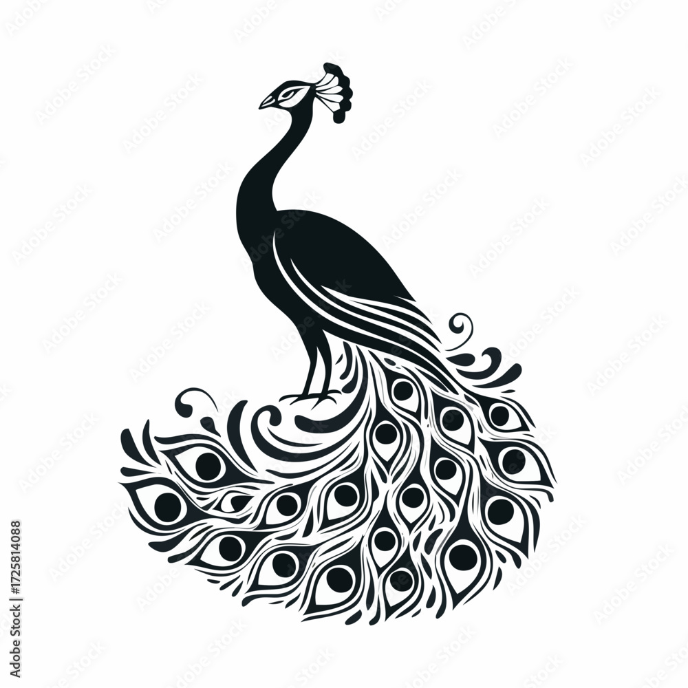 Fototapeta premium Majestic Peacock Silhouette