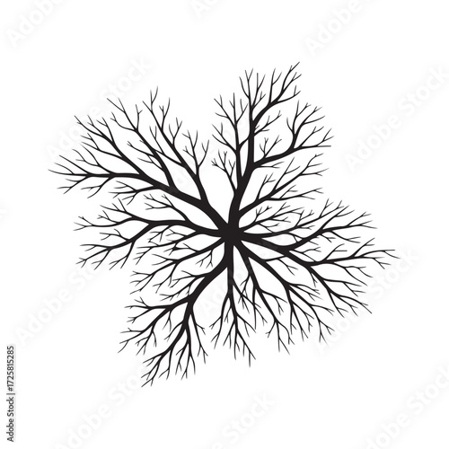 Abstract Black Tree Branches Silhouette Top View Vector Graphic