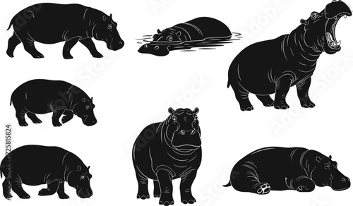 Hippopotamus silhouette vector collection, various poses and behaviors, wildlife animal illustration, water and land scenes, nature clipart for educational and artistic use