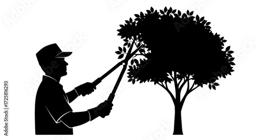 Silhouetted gardener expertly shaping tree foliage with shears