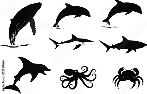 Marine animal vector silhouettes: dolphin, whale, shark, octopus, crab in leaping, swimming, and crawling poses — ideal for ocean design, education, logos, and nautical themes.