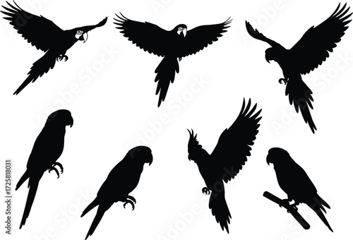 Parrot silhouette vector set, flying bird shapes, perched parrots clipart, tropical wildlife illustration, exotic animal design, black bird collection
