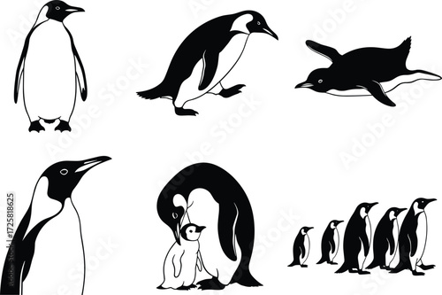 Penguin vector silhouettes and line art in walking, swimming, parenting, and group march poses — perfect for wildlife design, education, logos, and Antarctic-themed projects.
