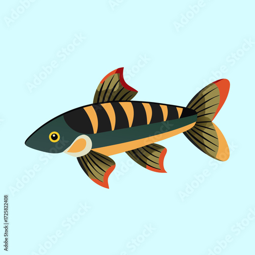 Cartoon illustration of a tiger barb fish swimming in a light blue background