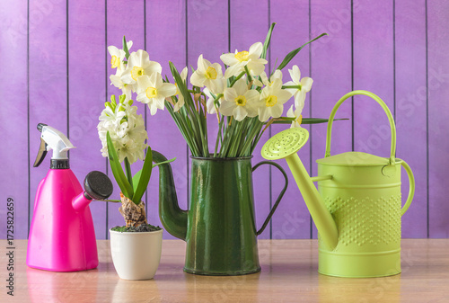 Spring gardening concept: bouquet of white daffodils, hyacinth flower and watering can on a wooden background