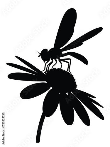 Silhouette of a dragonfly resting on a daisy flower