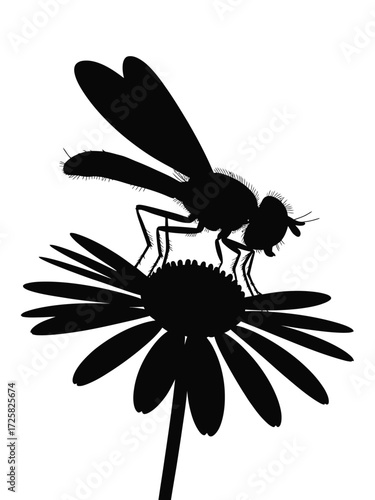 Silhouette of a dragonfly perched on a daisy flower