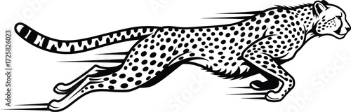 Running cheetah, feline predator, wildlife