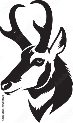 vector illustration of a deer