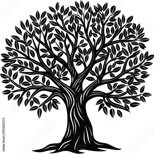 Elegant black and white illustration of a mature olive tree with detailed branches and leaves perfect for natural themes