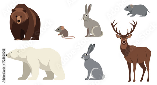 Illustrations of various wild animals including bears hares deer and rodents.