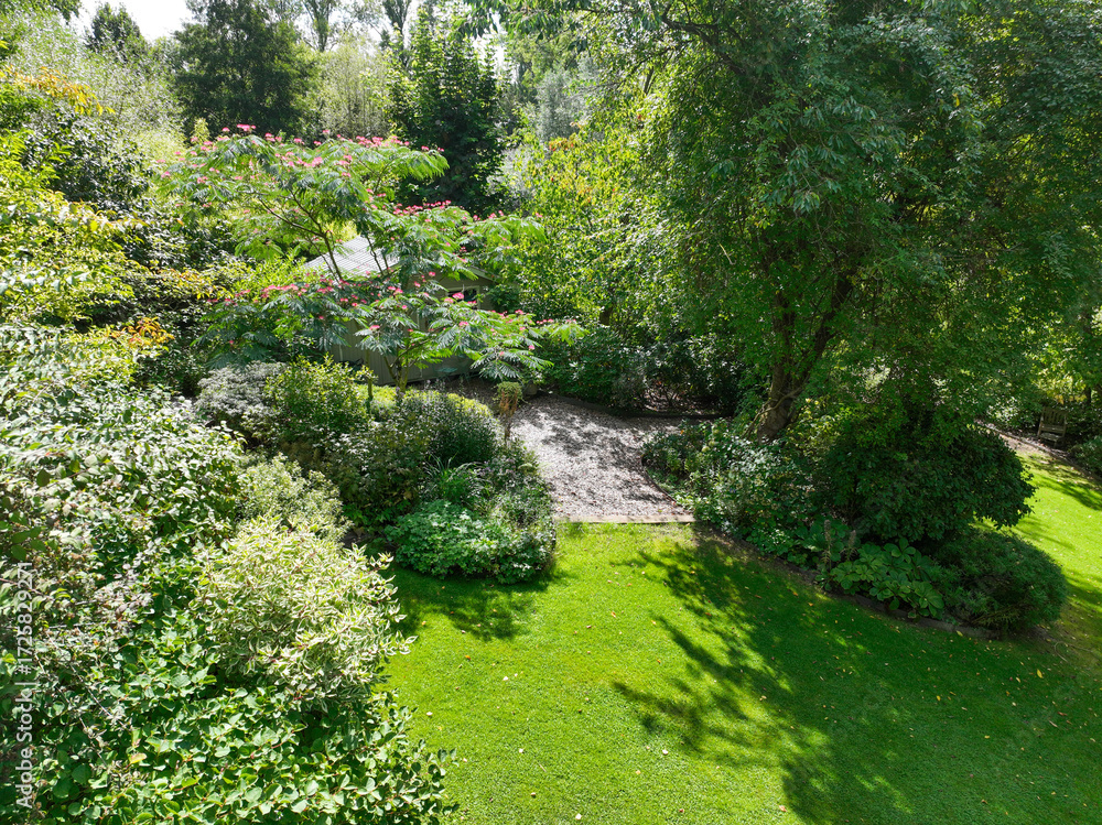 Obraz premium English green garden multiple type of trees and plants during sunny summer season