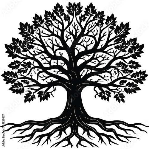 Detailed illustration of a mature oak tree with its extensive root system exposed presented in a classic black and white style