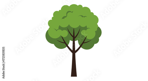 tree isolated on white background