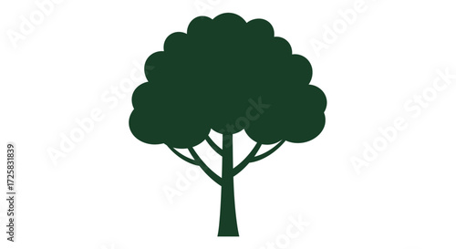 green tree isolated on white background
