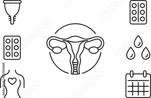 Feminine Health Menstrual Cycle, Uterus, and Reproductive Health in Minimalist Line Art