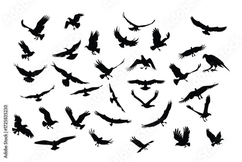 Collection of silhouetted birds of prey in various flight poses against a white background