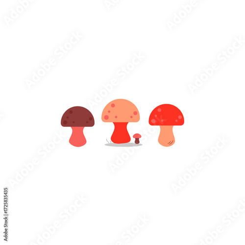 vector illustration of mushrooms
