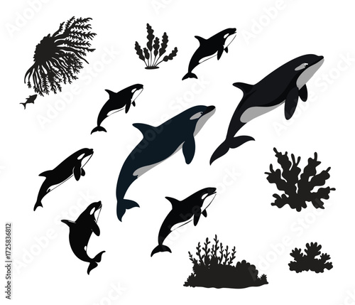 Collection of orca whales and marine life silhouettes in dynamic poses underwater ocean scene