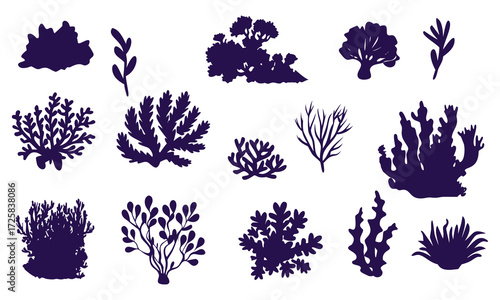 Collection of dark purple silhouette illustrations of various marine plants and seaweed on a white background