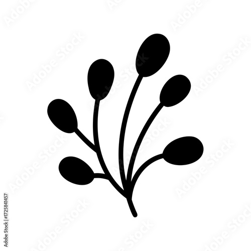 Minimalist botanical illustration of a branch with oval shaped leaves or berries