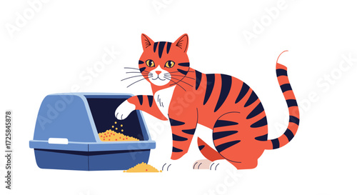 A cute tabby cat is digging in its litter box.