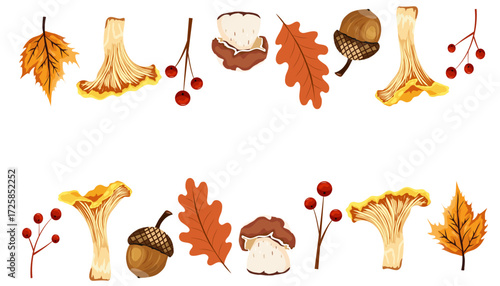 Autumn elements featuring mushrooms, acorns, and leaves on a warm background, perfect for seasonal designs and fall-themed projects.
